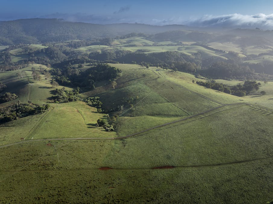 294 Coramba Road, Dorrigo, NSW, 2453 - Image 5