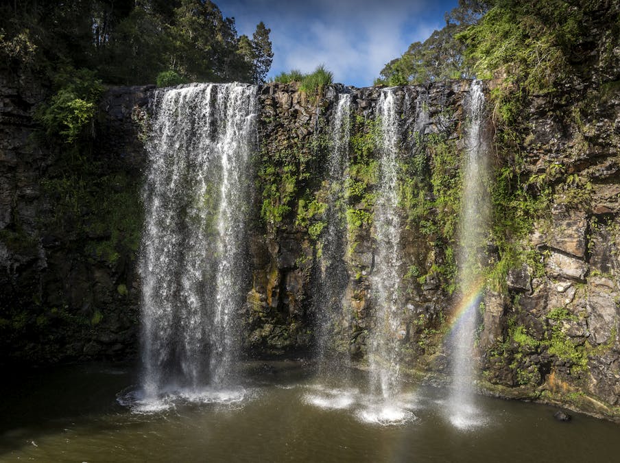 294 Coramba Road, Dorrigo, NSW, 2453 - Image 11