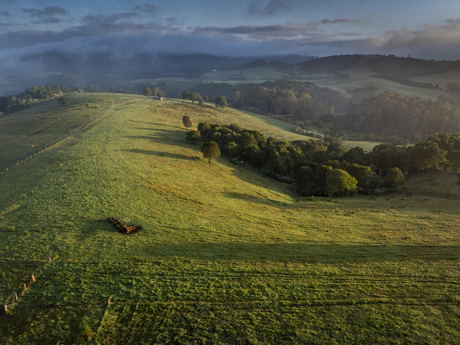 294 Coramba Road, Dorrigo, NSW, 2453 - Image 13