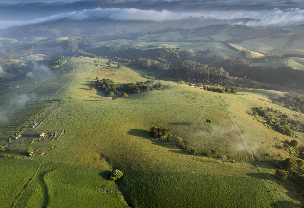 294 Coramba Road, Dorrigo, NSW, 2453 - Image 22