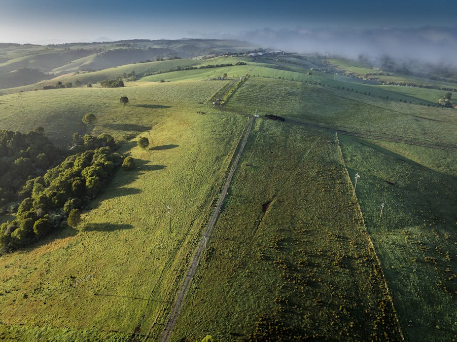 294 Coramba Road, Dorrigo, NSW, 2453 - Image 17