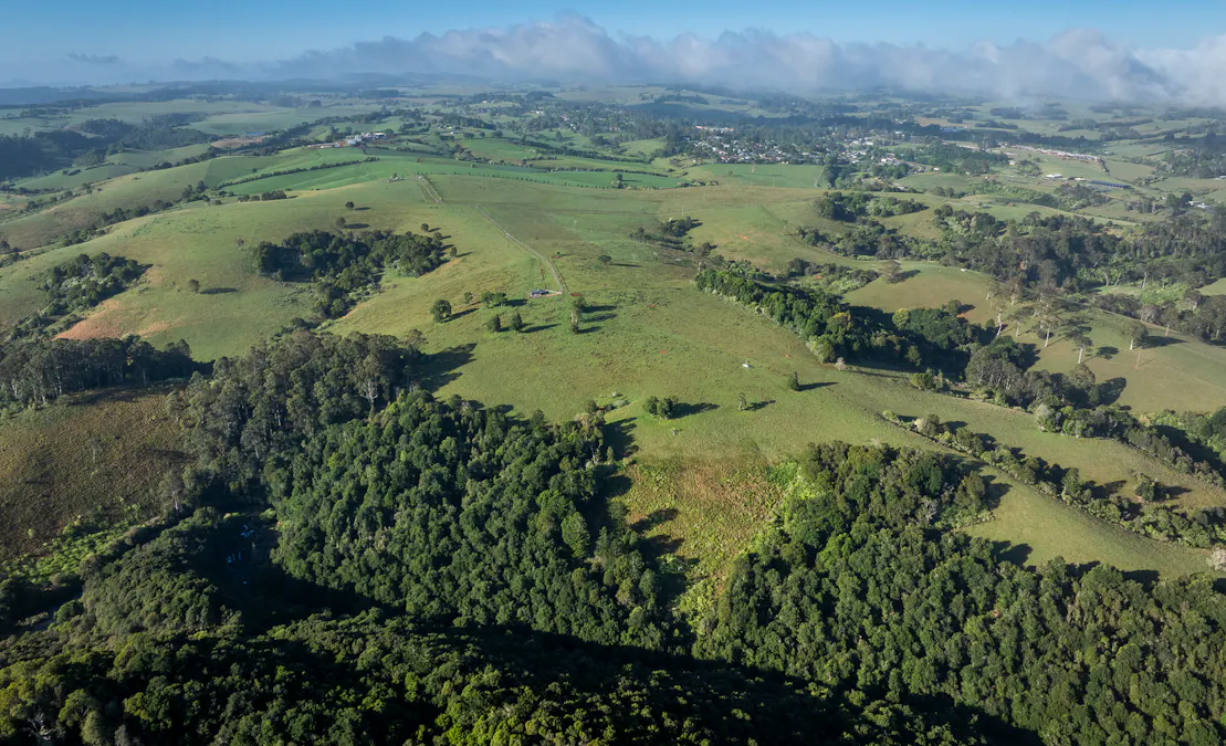294 Coramba Road, Dorrigo, NSW, 2453 - Image 10