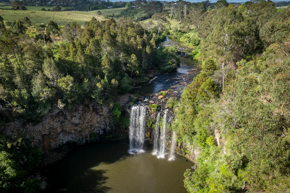 294 Coramba Road, Dorrigo, NSW, 2453 - Image 18