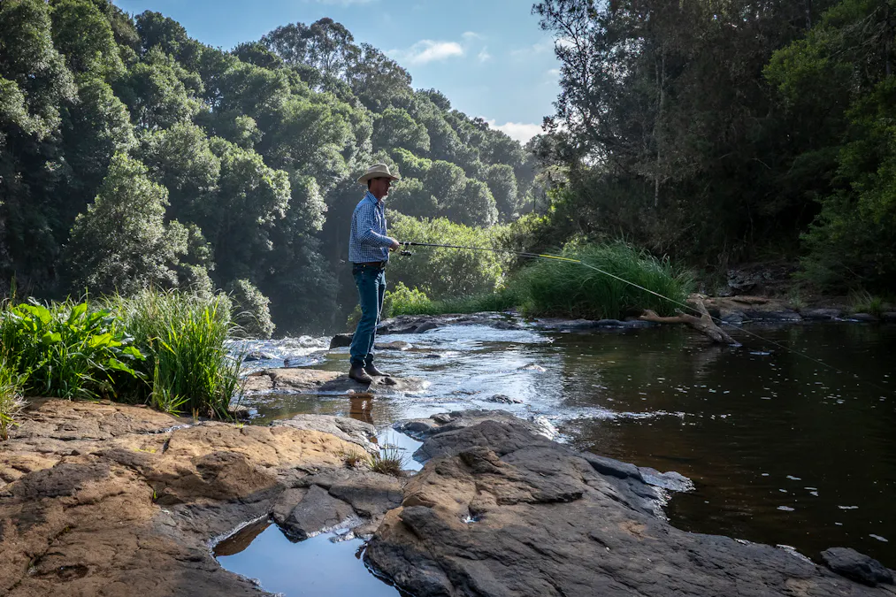 294 Coramba Road, Dorrigo, NSW, 2453 - Image 20