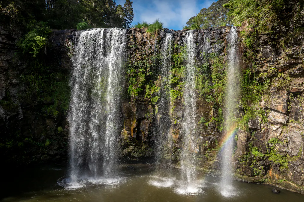 294 Coramba Road, Dorrigo, NSW, 2453 - Image 19