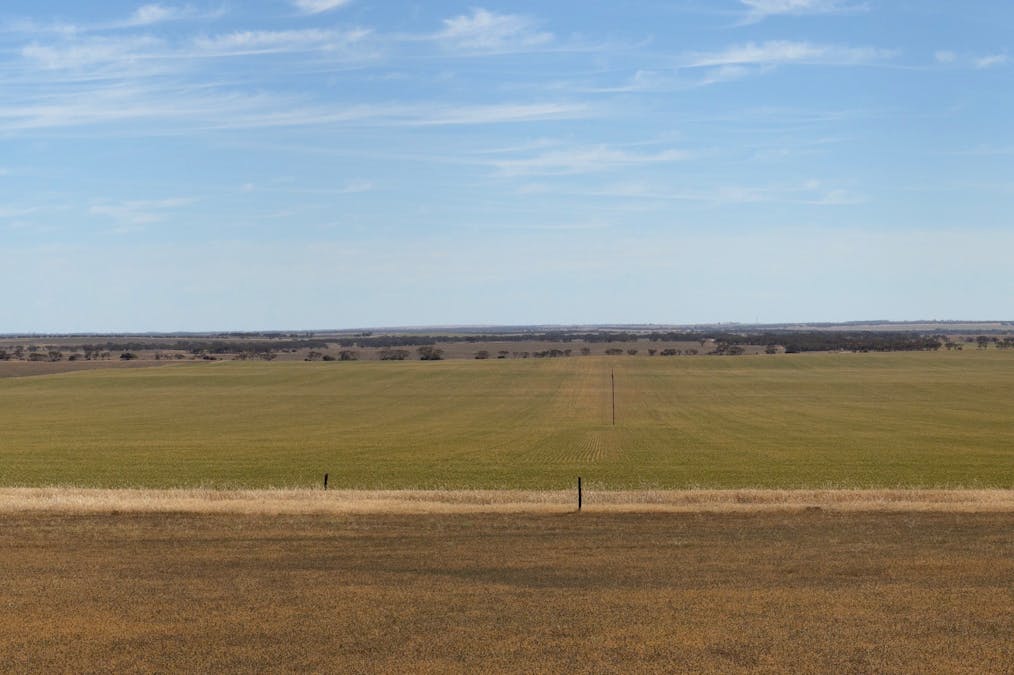 860 Gerschwitz Road, Cungena, SA, 5660 - Image 3