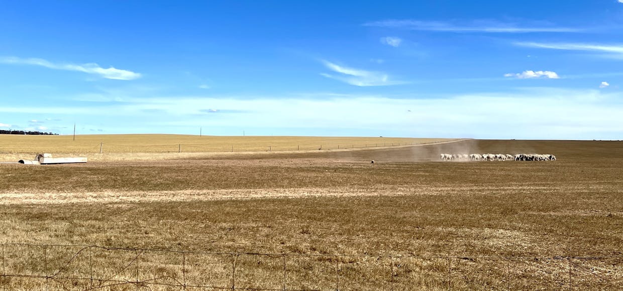 860 Gerschwitz Road, Cungena, SA, 5660 - Image 6