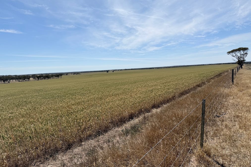 860 Gerschwitz Road, Cungena, SA, 5660 - Image 5