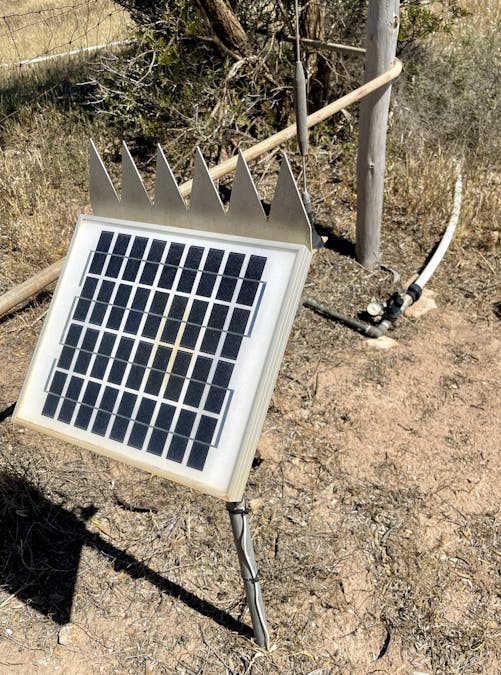 860 Gerschwitz Road, Cungena, SA, 5660 - Image 25