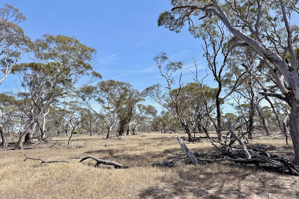 860 Gerschwitz Road, Cungena, SA, 5660 - Image 8