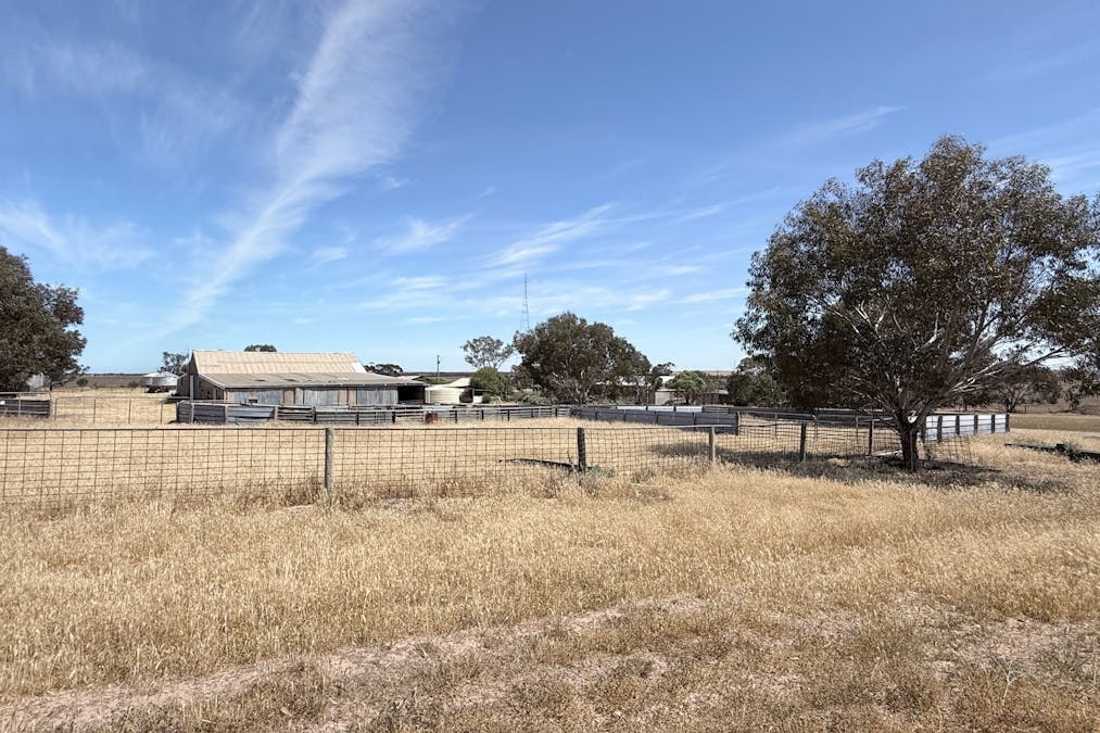 860 Gerschwitz Road, Cungena, SA, 5660 - Image 14