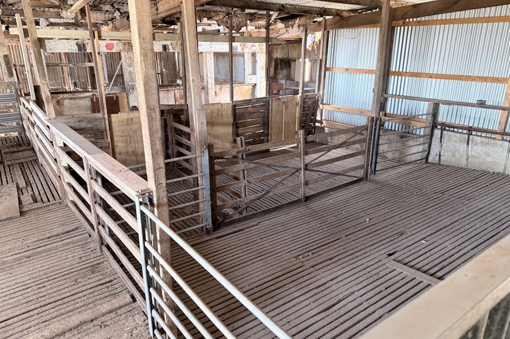 860 Gerschwitz Road, Cungena, SA, 5660 - Image 20