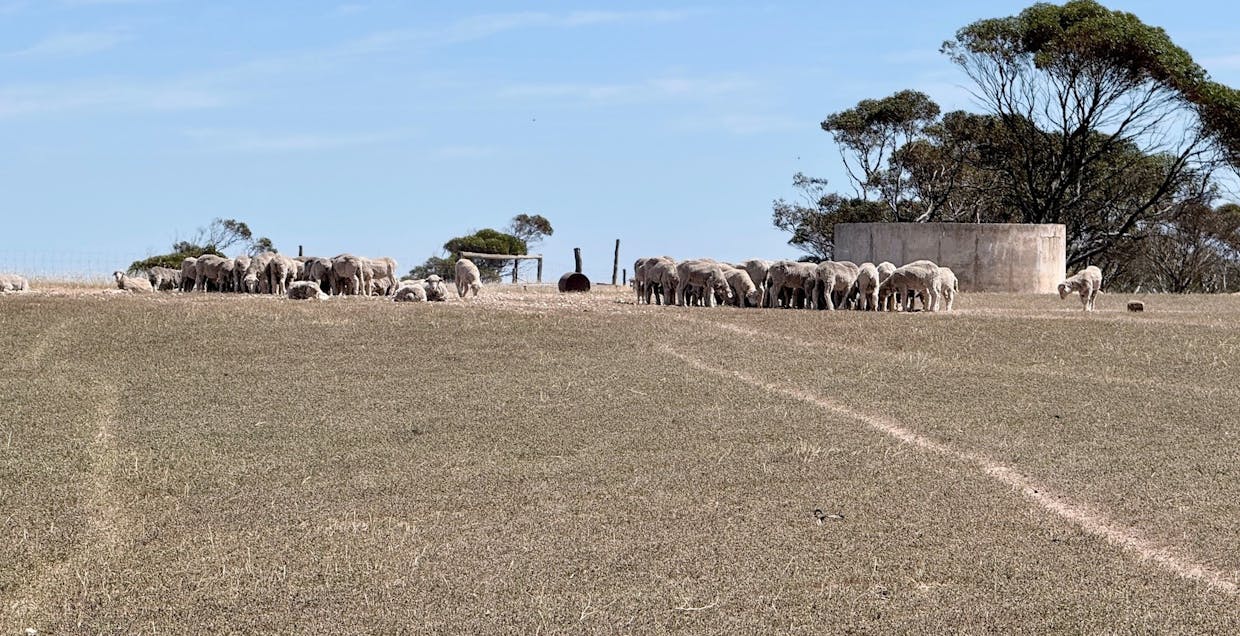 860 Gerschwitz Road, Cungena, SA, 5660 - Image 7