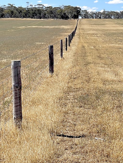 860 Gerschwitz Road, Cungena, SA, 5660 - Image 22