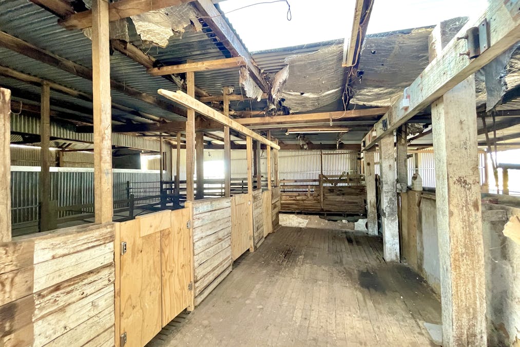 860 Gerschwitz Road, Cungena, SA, 5660 - Image 17