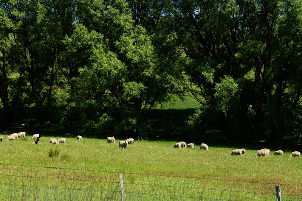 21/Bolong Road, Golspie, NSW, 2580 - Image 9