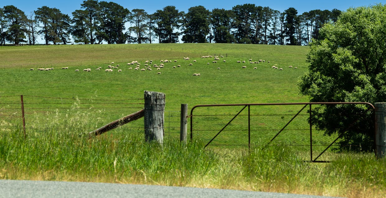 21/Bolong Road, Golspie, NSW, 2580 - Image 18