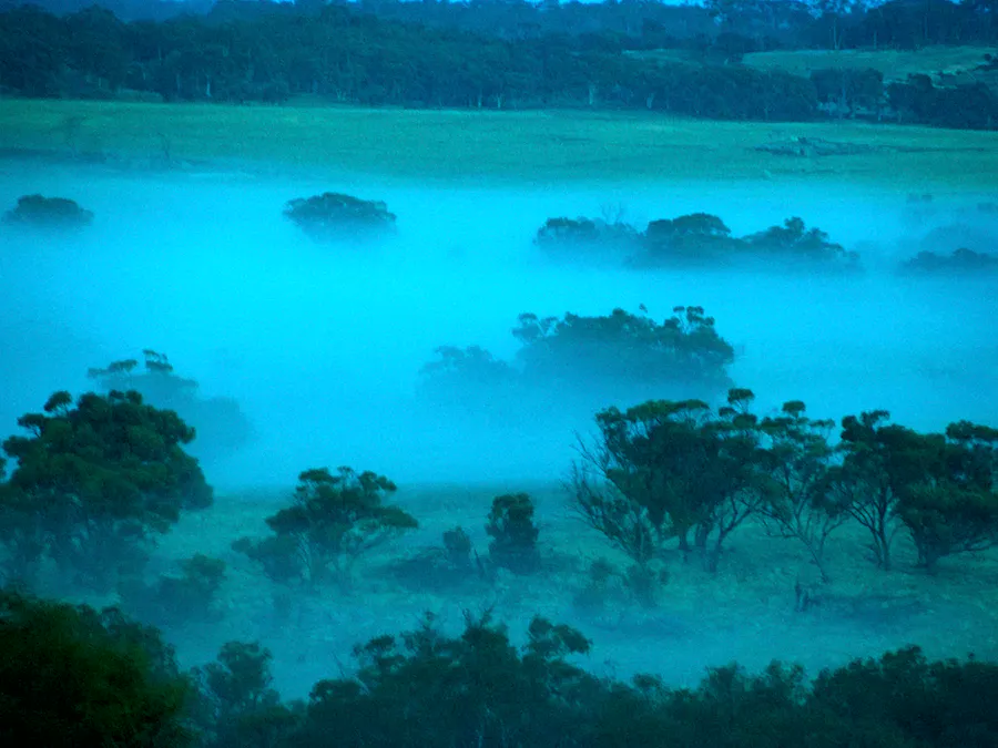 Lot 12 Young Road, Gwambygine, WA, 6302 - Image 3