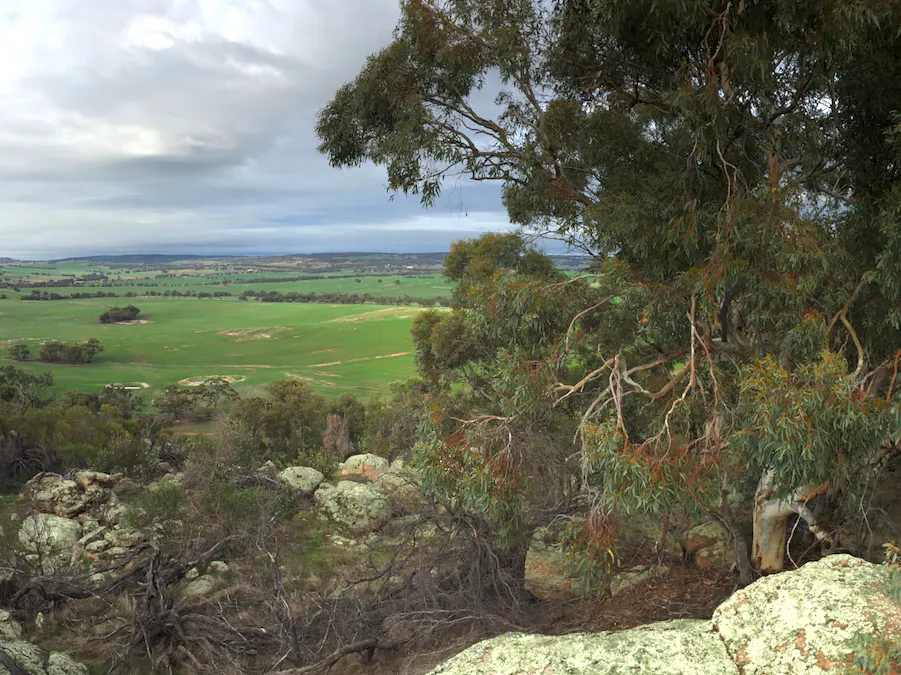 Lot 12 Young Road, Gwambygine, WA, 6302 - Image 28