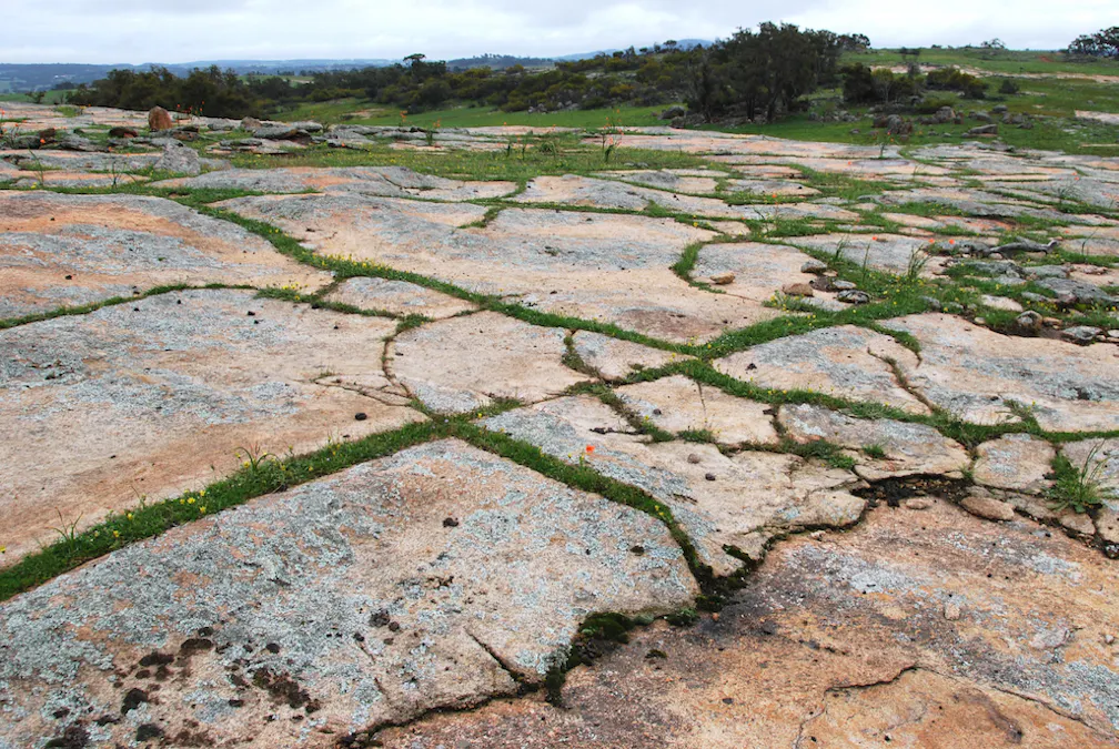 Lot 12 Young Road, Gwambygine, WA, 6302 - Image 29