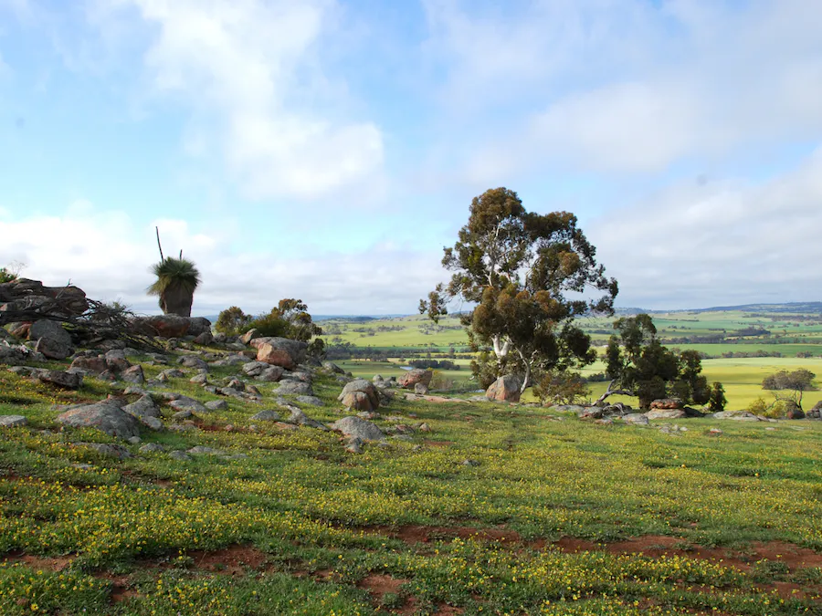 Lot 12 Young Road, Gwambygine, WA, 6302 - Image 30