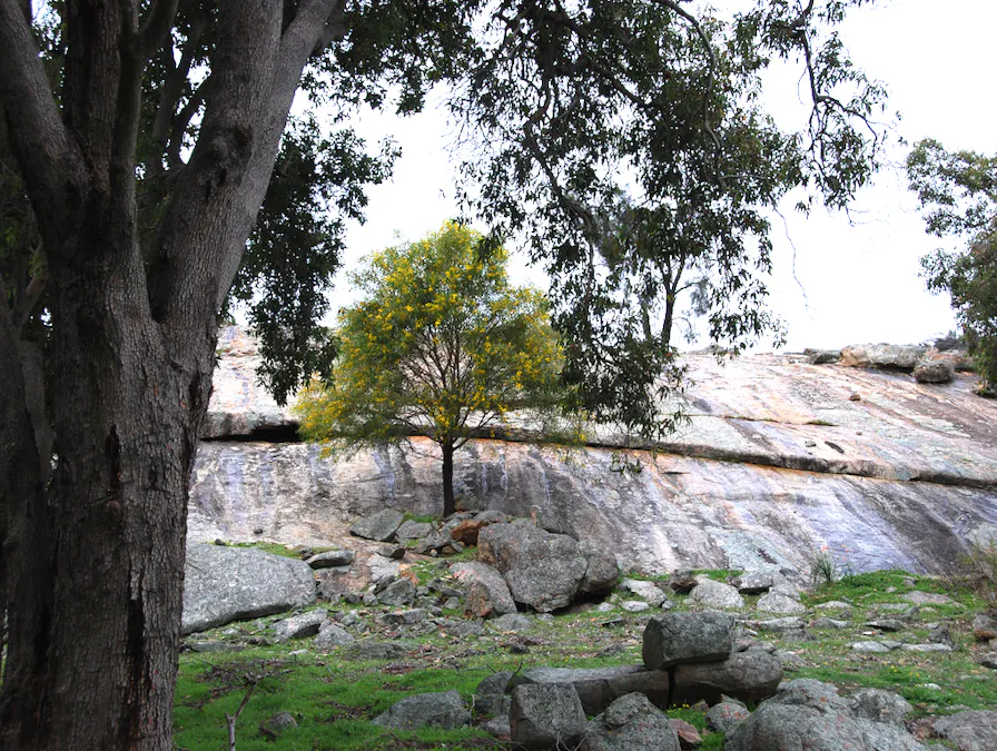 Lot 12 Young Road, Gwambygine, WA, 6302 - Image 31