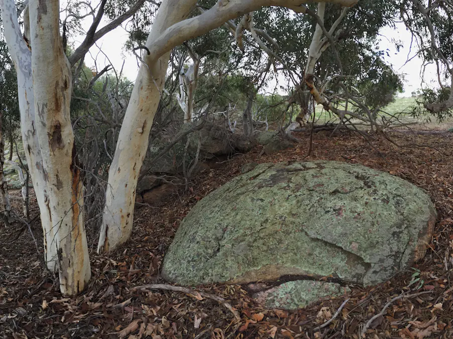 Lot 12 Young Road, Gwambygine, WA, 6302 - Image 35