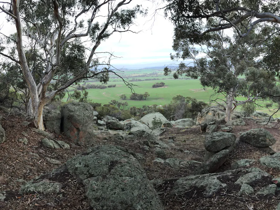 Lot 12 Young Road, Gwambygine, WA, 6302 - Image 1