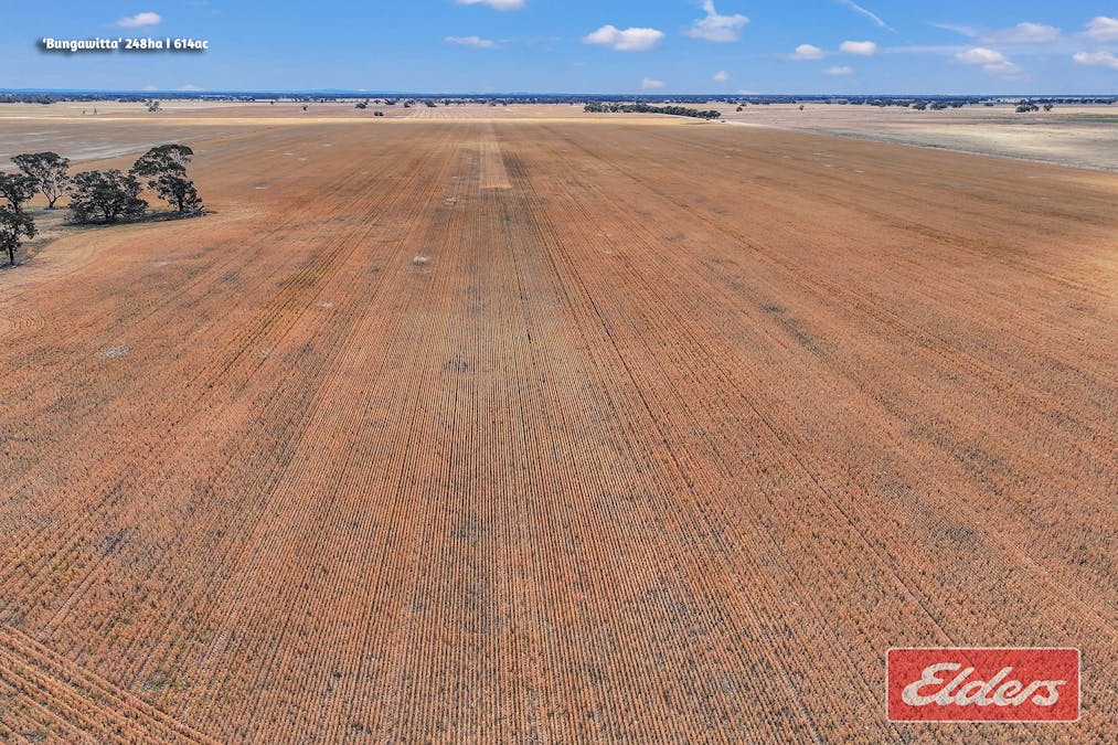 298 Yarrawalla West Road, Yarrawalla, VIC, 3575 - Image 20