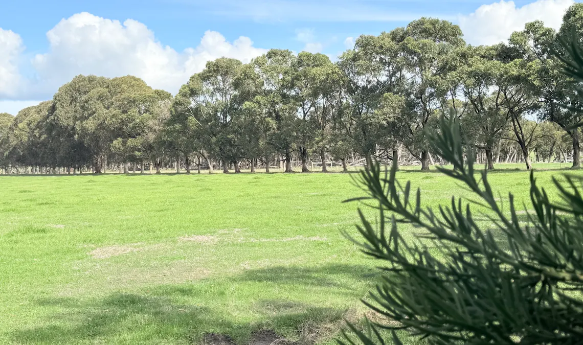 238 Link Road, Marbelup, WA, 6330 - Image 11