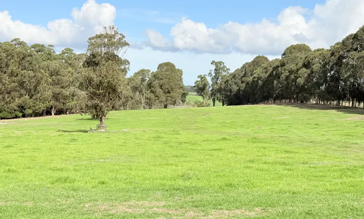 238 Link Road, Marbelup, WA, 6330 - Image 1