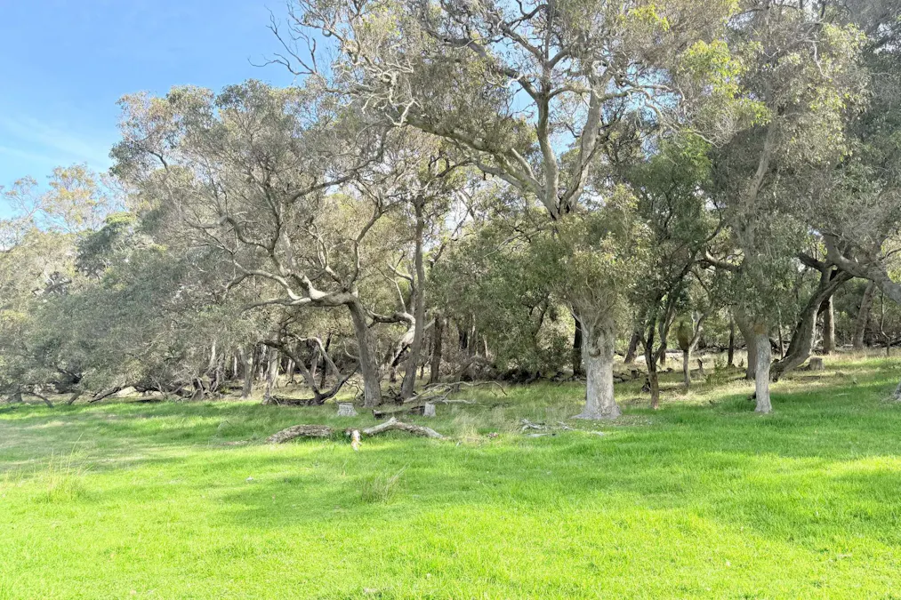 238 Link Road, Marbelup, WA, 6330 - Image 13