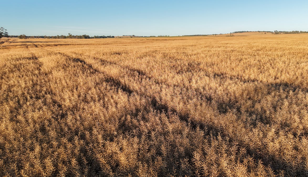 The Ranch 27R Plain Creek Road, Wongarbon, NSW, 2831 - Image 5