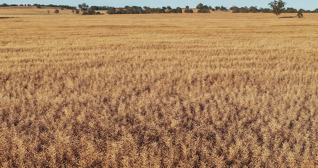 The Ranch 27R Plain Creek Road, Wongarbon, NSW, 2831 - Image 6