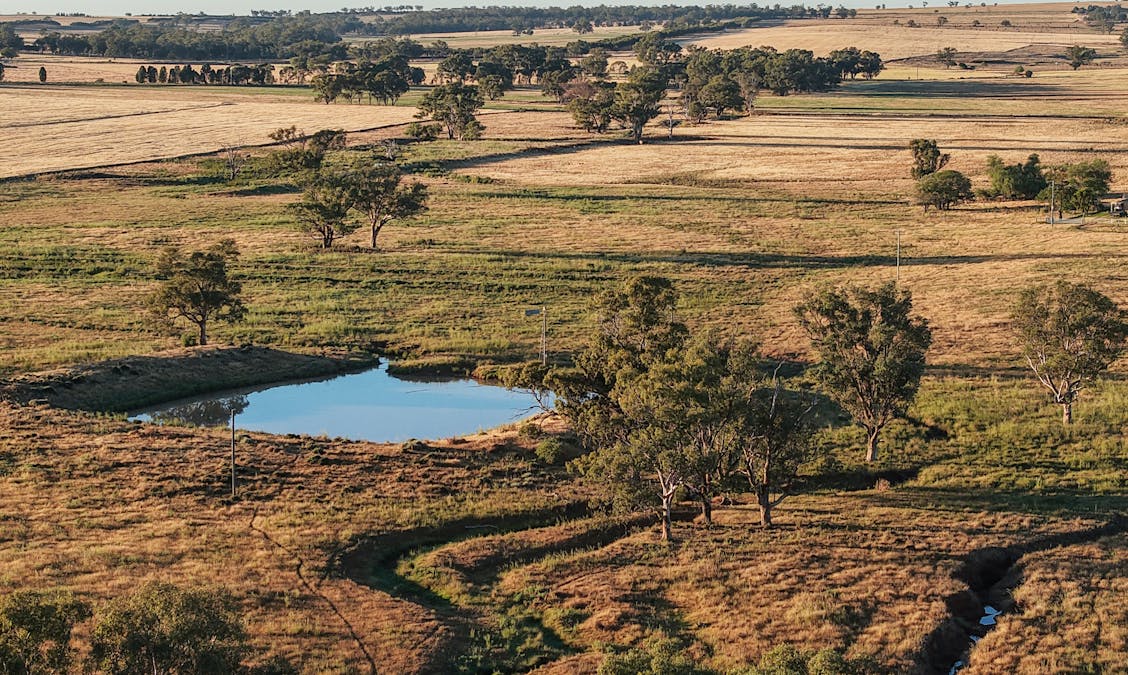 The Ranch 27R Plain Creek Road, Wongarbon, NSW, 2831 - Image 3