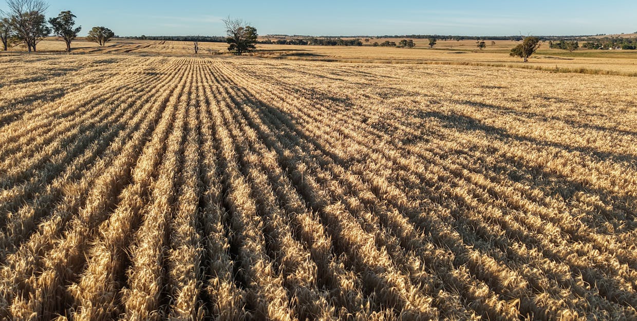 The Ranch 27R Plain Creek Road, Wongarbon, NSW, 2831 - Image 2