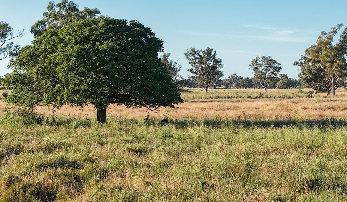 The Ranch 27R Plain Creek Road, Wongarbon, NSW, 2831 - Image 14