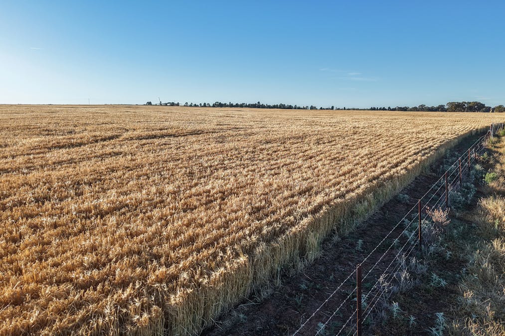 The Ranch 27R Plain Creek Road, Wongarbon, NSW, 2831 - Image 12