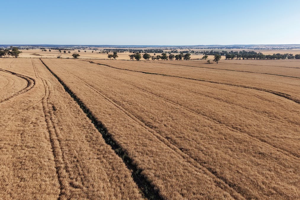 The Ranch 27R Plain Creek Road, Wongarbon, NSW, 2831 - Image 9