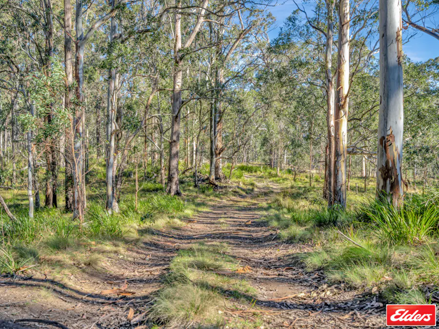 9722 Armidale Road, Hernani, NSW, 2453 - Image 16