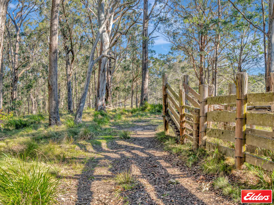 9722 Armidale Road, Hernani, NSW, 2453 - Image 19