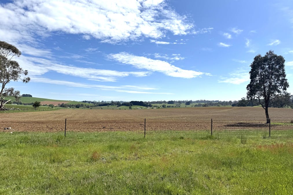 111 Teasdale Road, Neville, NSW, 2799 - Image 2