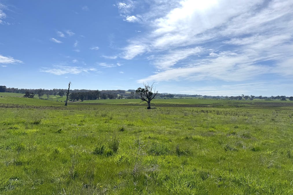 111 Teasdale Road, Neville, NSW, 2799 - Image 3