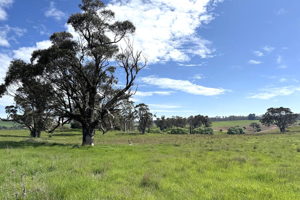 111 Teasdale Road, Neville, NSW, 2799 - Image 4