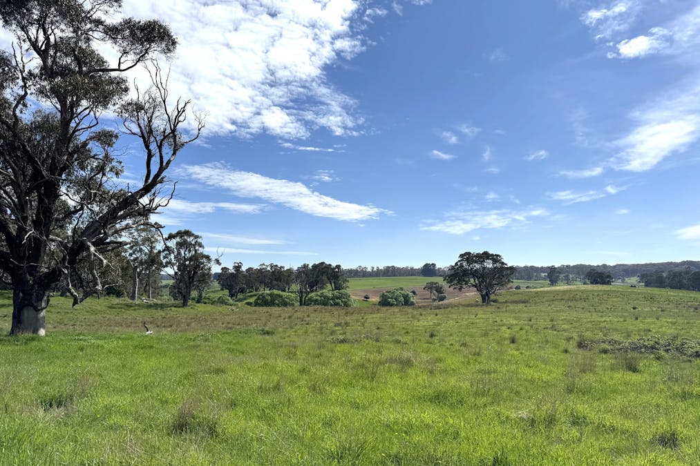 111 Teasdale Road, Neville, NSW, 2799 - Image 5