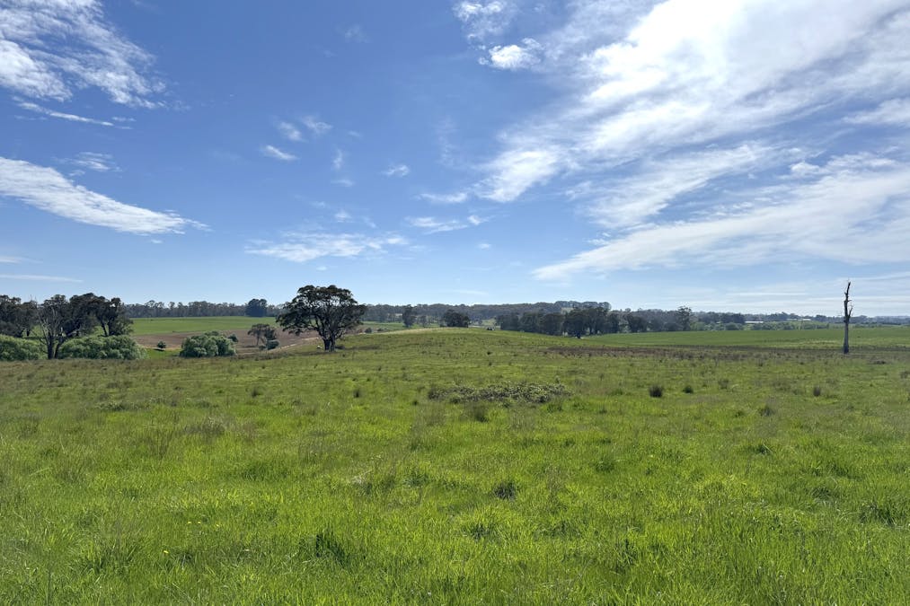 111 Teasdale Road, Neville, NSW, 2799 - Image 6