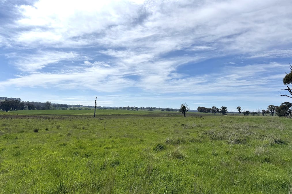 111 Teasdale Road, Neville, NSW, 2799 - Image 7