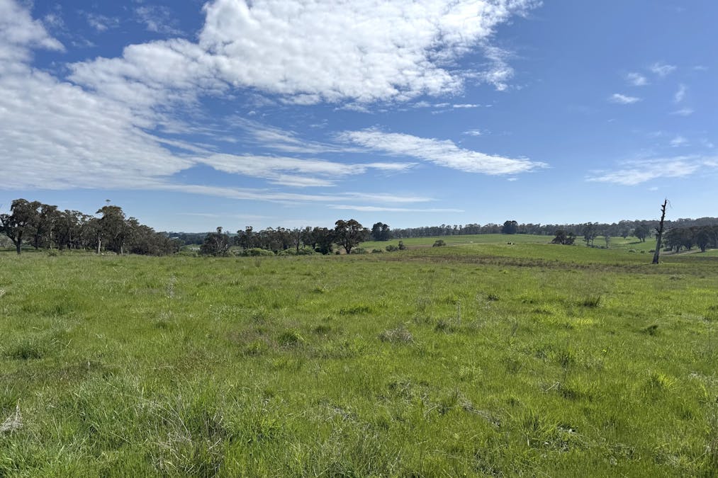 111 Teasdale Road, Neville, NSW, 2799 - Image 8