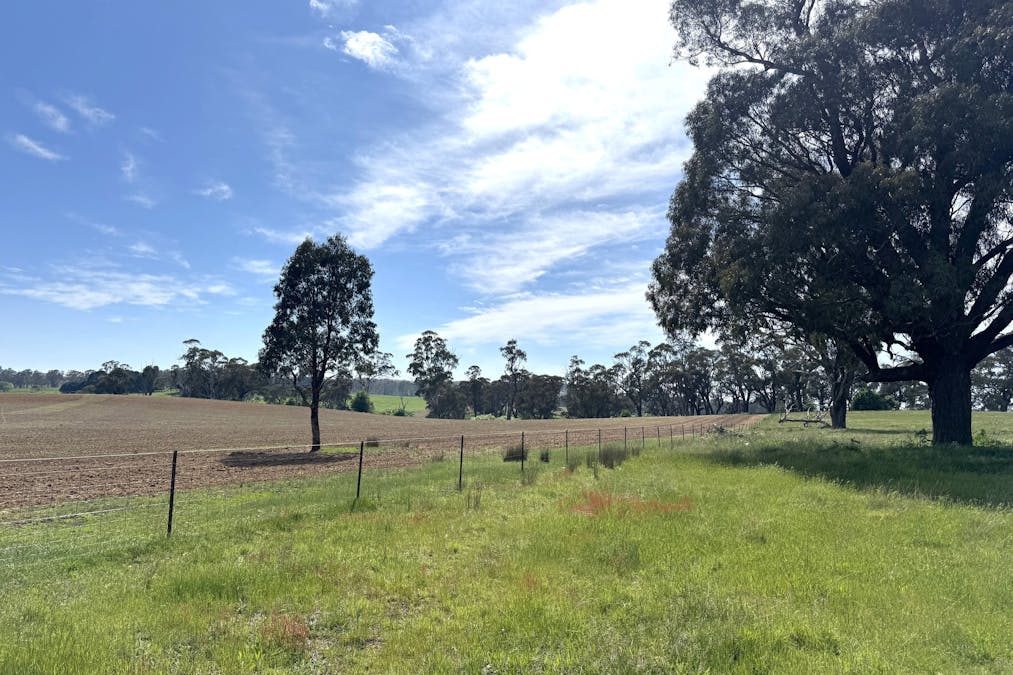 111 Teasdale Road, Neville, NSW, 2799 - Image 9