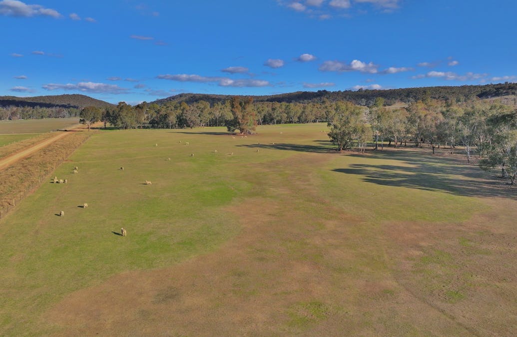 600 Irvine Road, Thoona, VIC, 3726 - Image 7